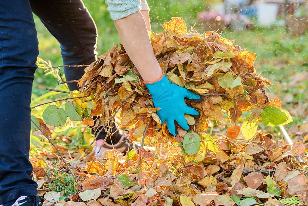 Laubentfernung im Garten - Fast Cleaning