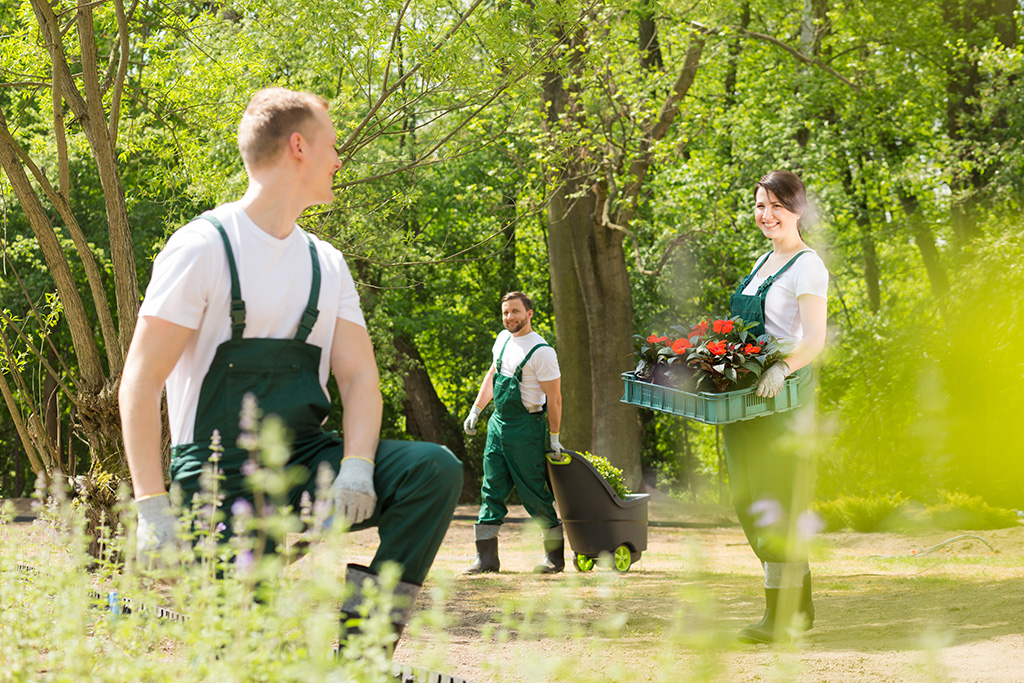 Gartenreinigung - Fast Cleaning