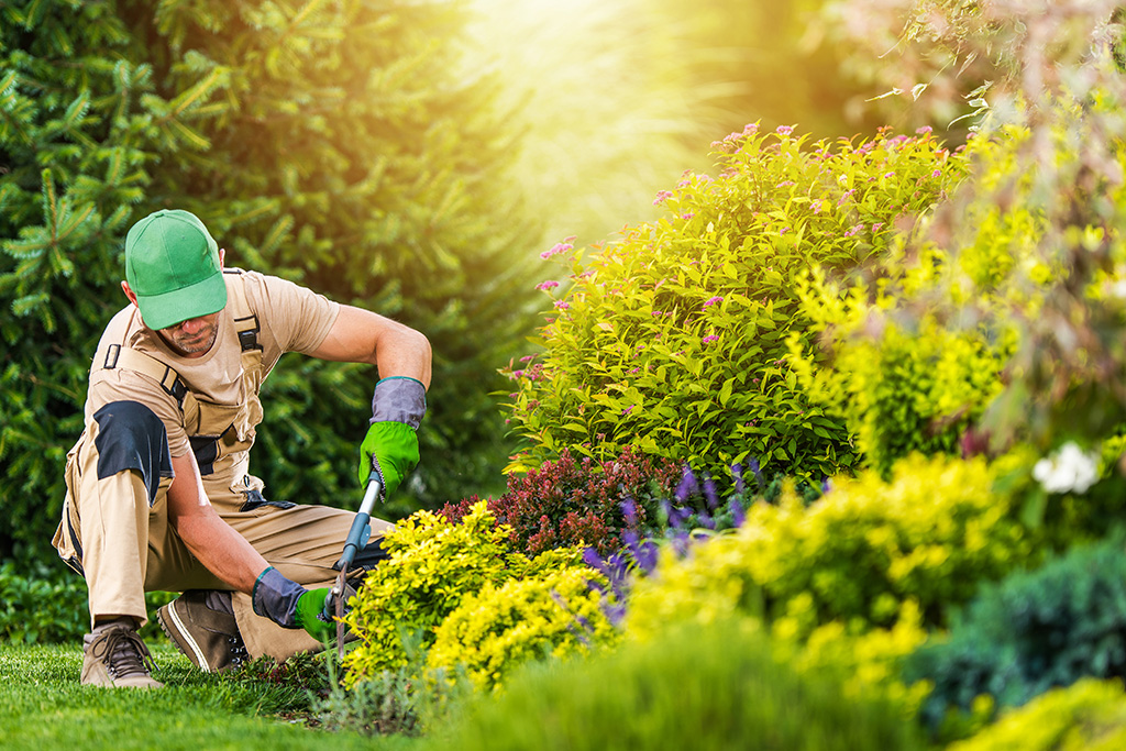 Gartenpflege - Fast Cleaning