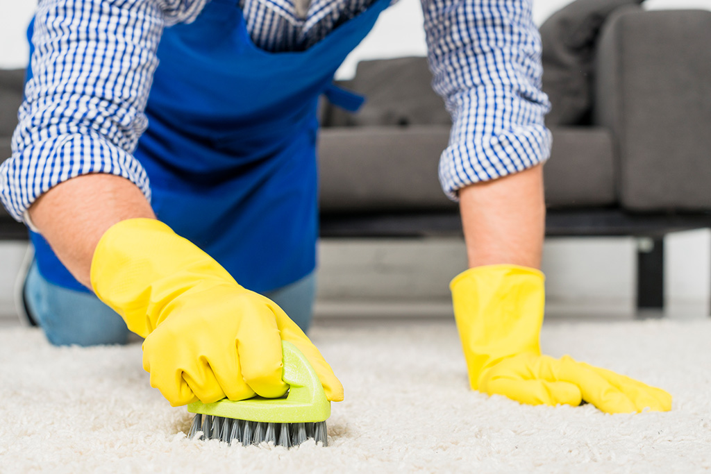 Teppichreinigung - Fast Cleaning