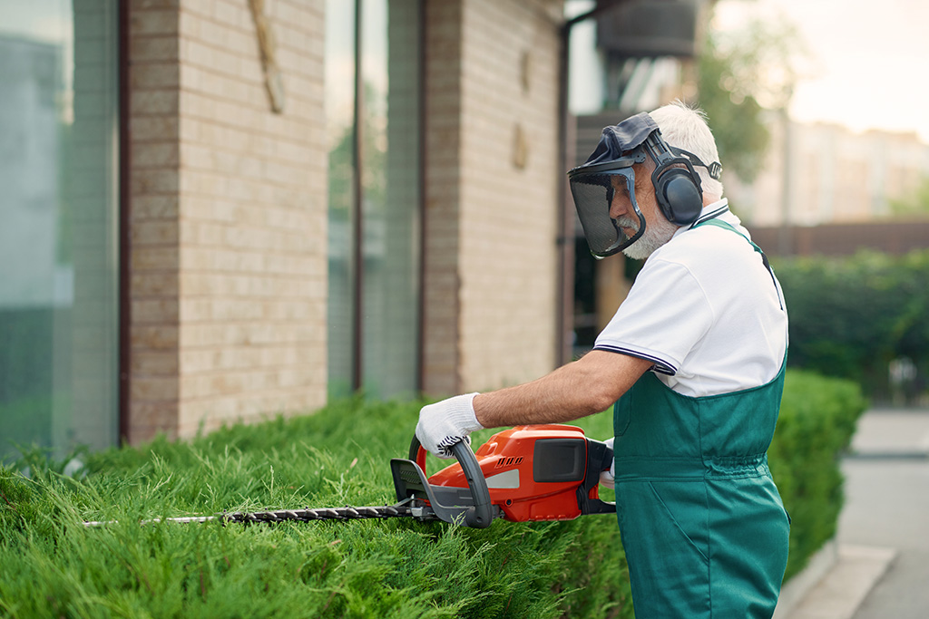 Gartenpflege - Fast Cleaning