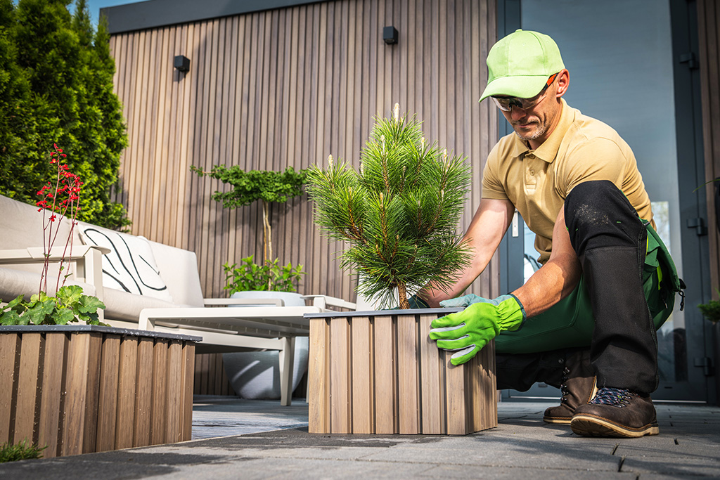 Gartenpflege - Fast Cleaning